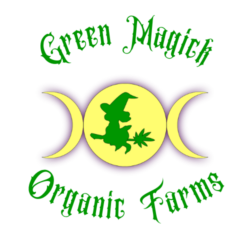 A logo of a witch riding a weed broomstick against the background of a full moon with a crescent on each side.